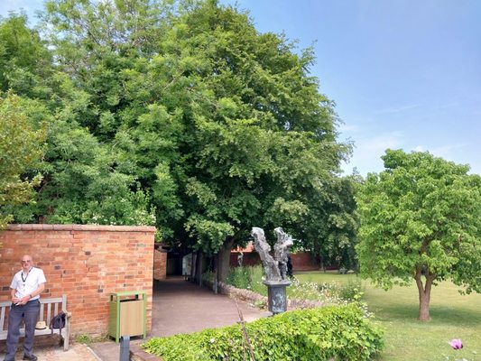 Shakespeare's New Place by null