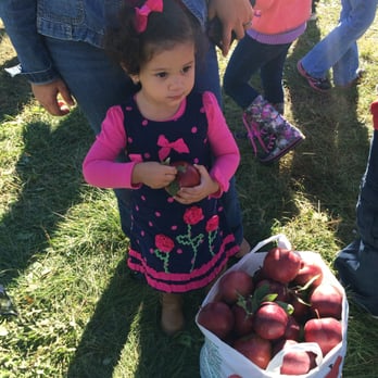 Apple Dave’s Orchards - Full Apple bag large 30 dollars - Fruits & Veggies Near Me - Warwick, New York