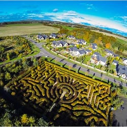 Kingennie Fishings - Angus Thistle Maze