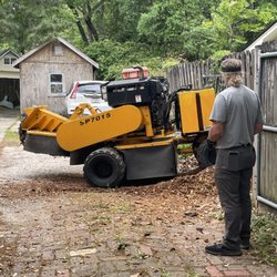 Duff-N-Stump Grindin