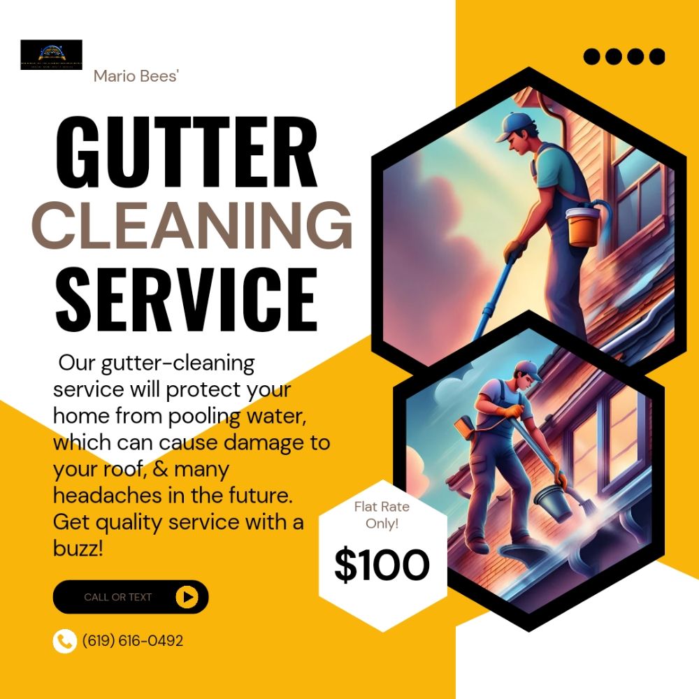 Slide of Mario Bees Gutter Cleaning and Roof Repair