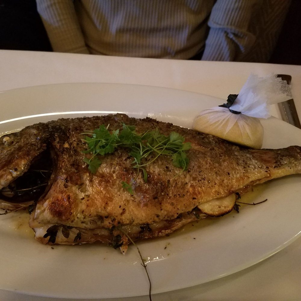 Dio Deka - Dorade-Tsipoura - Greek Near Me - Los Gatos, California Dio Deka - Dorade-Tsipoura - Greek Near Me - Los Gatos, California