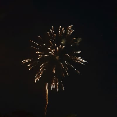 Wollaston Beach by null