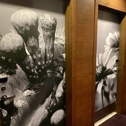 Gila River Resorts & Casinos - Vee Quiva - Neat doors! 2/20/24