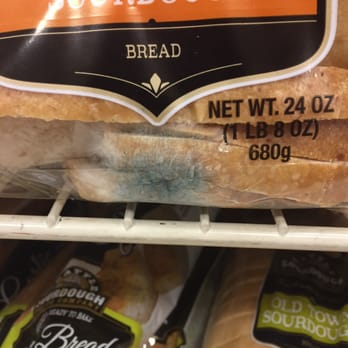 Fred Meyer - Moldy months old bread front and center on the shelf. - Department Stores Near Me - Tacoma, Washington Fred Meyer - Moldy months old bread front and center on the shelf. - Department Stores Near Me - Tacoma, Washington