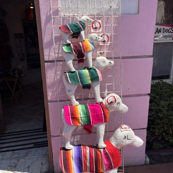 Cleopatro Dogs Store - visual sizing guide - Pet Stores Near Me - Ensenada, BCN Cleopatro Dogs Store - visual sizing guide - Pet Stores Near Me - Ensenada, BCN