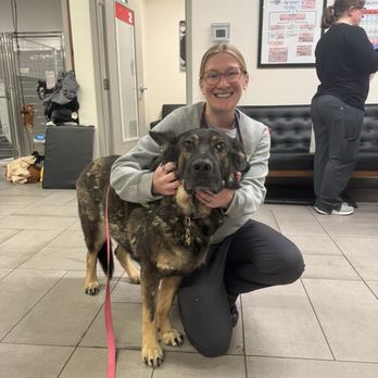 VEG ER for Pets - Dr. Knutzen - Emergency Pet Hospital Near Me - Alexandria, Virginia VEG ER for Pets - Dr. Knutzen - Emergency Pet Hospital Near Me - Alexandria, Virginia