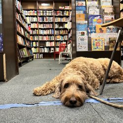 The Book Den - Willow relaxing while his mommy reads.