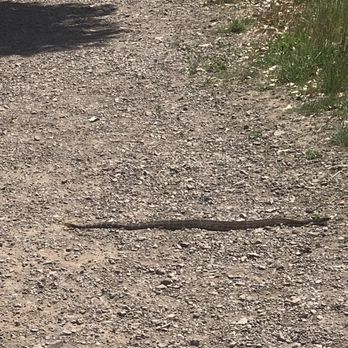 Stevens Creek County Park - Rattlesnake - Parks Near Me - Cupertino, California Stevens Creek County Park - Rattlesnake - Parks Near Me - Cupertino, California