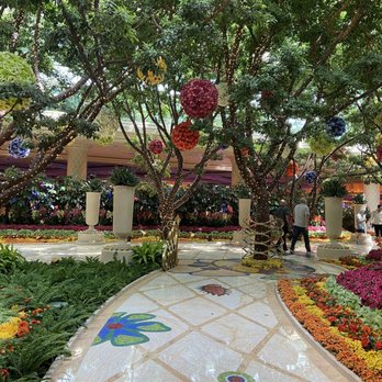 Wynn - Hotels Near Me - Las Vegas, Nevada Wynn - Hotels Near Me - Las Vegas, Nevada