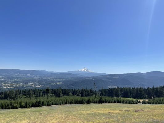 South Hill Winery by null