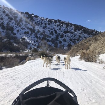 Bear Ridge Adventures - Bear ridge adventures is 5 stars forsure !!! Thank you for the great experience - Sledding Near Me - Coalville, Utah Bear Ridge Adventures - Bear ridge adventures is 5 stars forsure !!! Thank you for the great experience - Sledding Near Me - Coalville, Utah