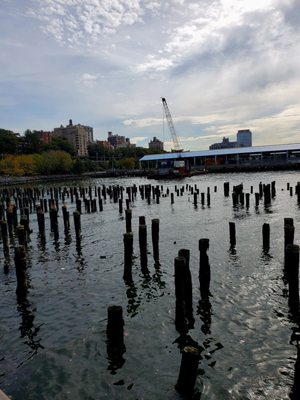 Brooklyn Bridge Park - Pier 1 by null
