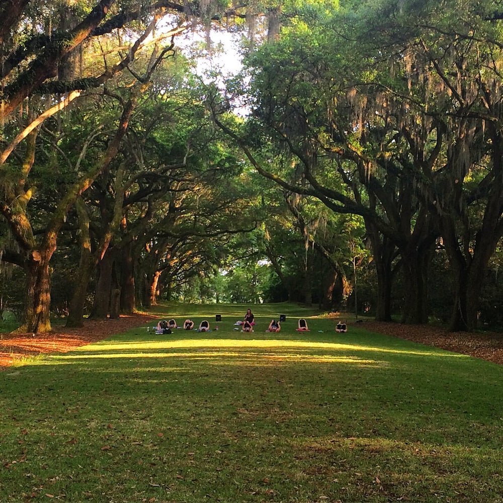 Yoga Under The Oaks Logo