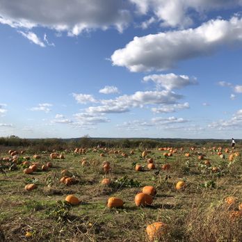 The Elegant Farmer - Pumpkin Patch - Bakeries Near Me - Mukwonago, Wisconsin