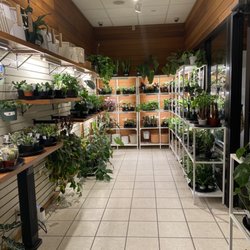 Send Nodes Plant Shop