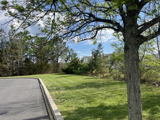 Elevated Landscapes on Yelp