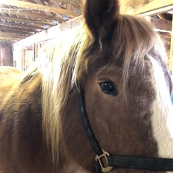 Center For Adaptive Riding - Stills from CAR