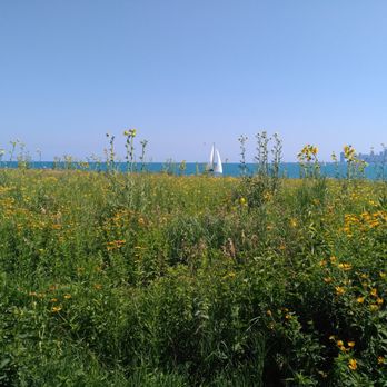 Montrose Point Bird Sanctuary - Hiking Near Me - Chicago, Illinois Montrose Point Bird Sanctuary - Hiking Near Me - Chicago, Illinois