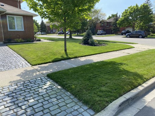Grass Cutting and Trimming on Yelp