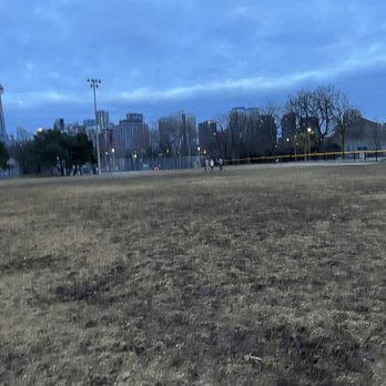 Stanley Park - Dog Parks Near Me - Toronto, Ontario