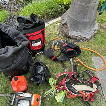 3rd Gen Lawn Service - Tree climbing gear for the win! - Irrigation Near Me 3rd Gen Lawn Service - Tree climbing gear for the win! - Irrigation Near Me