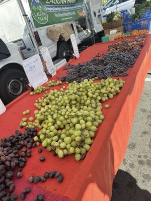 The Sebastopol Farmers' Market by null