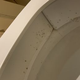 Mold in the toilet that they didn't clean once in 14 days Mold in the toilet that they didn't clean once in 14 days