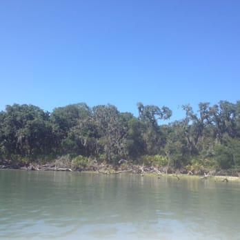 St Augustine Eco Tours - Hammock - Tours Near Me - Saint Augustine, Florida