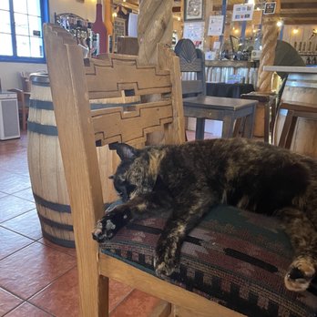 Black Mesa Winery - CEO - A tortoiseshell cat is lying on a patterned cushion on a wooden chair inside a restaurant with warm lighting and rustic decor. - Wineries Near Me - Velarde, New Mexico