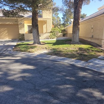 E &C Outdoor Concepts - Tree Services Near Me E &C Outdoor Concepts - Tree Services Near Me