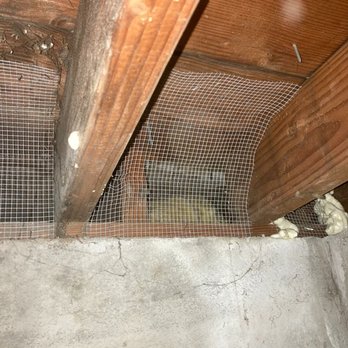 Attic Crew - Not today, rodents. - Pest Control Near Me - Renton, Washington