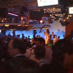 Pacha