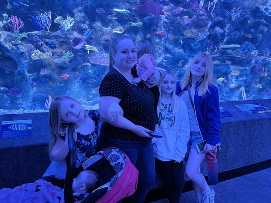 Newport Aquarium by null