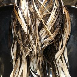 The Lion's Mane Salon