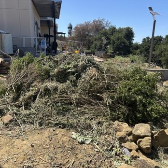 BioScapes Treecare - Just a tiny bit of what they cut down - Landscaping Near Me - Union City, California BioScapes Treecare - Just a tiny bit of what they cut down - Landscaping Near Me - Union City, California
