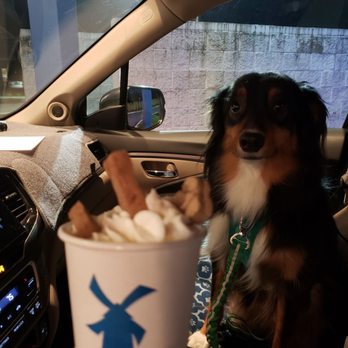 Dutch Bros Coffee - Bandit's favorite location - Coffee & Tea Near Me - Corvallis, Oregon Dutch Bros Coffee - Bandit's favorite location - Coffee & Tea Near Me - Corvallis, Oregon
