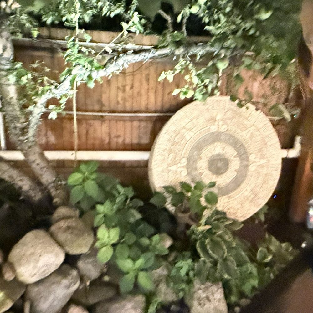 Outdoor garden Outdoor garden