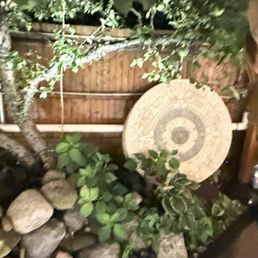 Outdoor garden Outdoor garden
