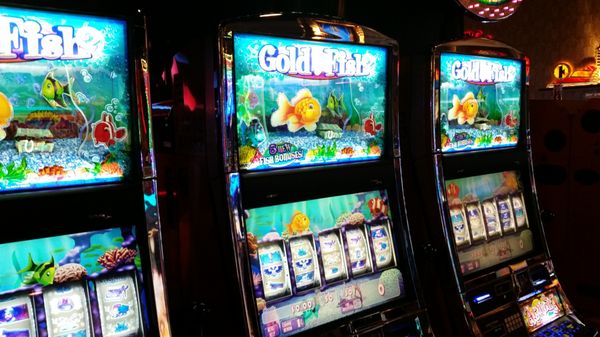 Hollywood Casino Perryville by null