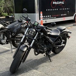 Pacific Riding School - School's rebel