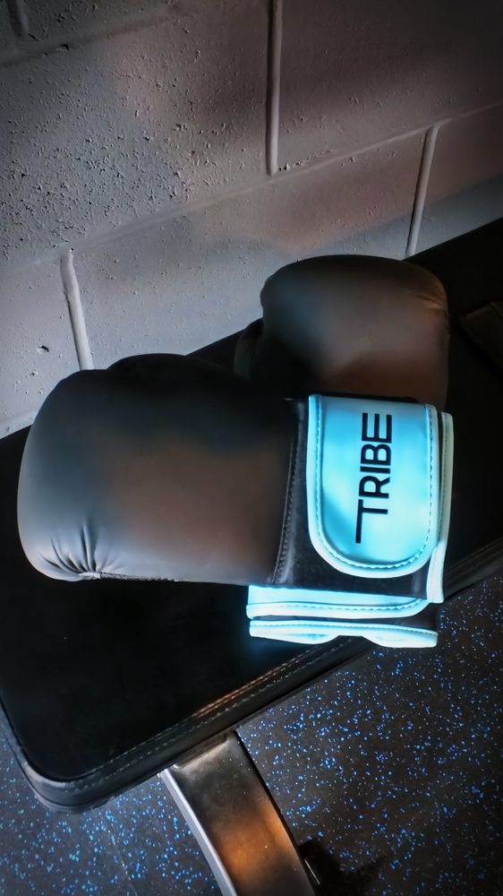 Tribe Studios Logo