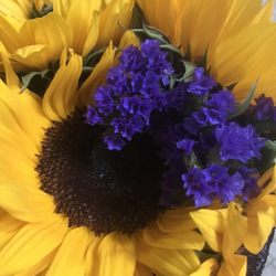 Helen's Greenhouse - Sunflower bouquet