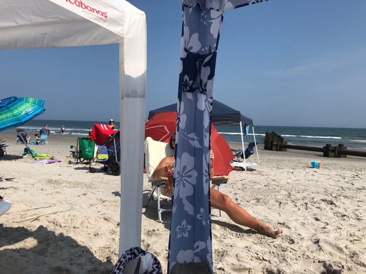 Stone Harbor by null