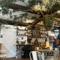 Canopy and the Roots