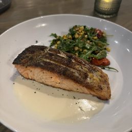 Salmon