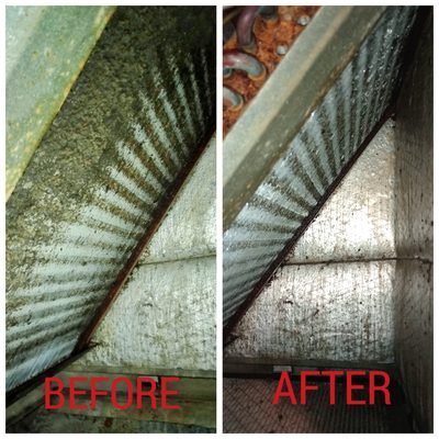 Coil Cleaning - 🔥 Beat the Heat and Boost Performance! 🔧
Tired of your HVAC system struggling when you need it most? Our professional coil cleaning service is the key to a cooler, more efficient home.
Here's what makes our service stand out:
Deep Clean, Not Just a Hose-Down: We use a powerful, non-acidic cleaning solution to remove stubborn dust, debris, and grime from every surface.
Better Efficiency: A clean coil allows your system to breathe freely—meaning it works less and cools more.
Longer Lifespan: Reduce wear and tear on your unit with regular maintenance that actually matters.
Lower Energy Bills: When your system isn’t fighting grime, it consumes less energy. Coil Cleaning - 🔥 Beat the Heat and Boost Performance! 🔧
Tired of your HVAC system struggling when you need it most? Our professional coil cleaning service is the key to a cooler, more efficient home.
Here's what makes our service stand out:
Deep Clean, Not Just a Hose-Down: We use a powerful, non-acidic cleaning solution to remove stubborn dust, debris, and grime from every surface.
Better Efficiency: A clean coil allows your system to breathe freely—meaning it works less and cools more.
Longer Lifespan: Reduce wear and tear on your unit with regular maintenance that actually matters.
Lower Energy Bills: When your system isn’t fighting grime, it consumes less energy.