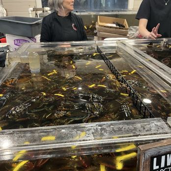 Bar Harbor Lobster Pound - Live lobster ready to cook - Seafood Near Me - Bar Harbor, Maine
