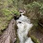 Photo of Bear Creek Falls Trail