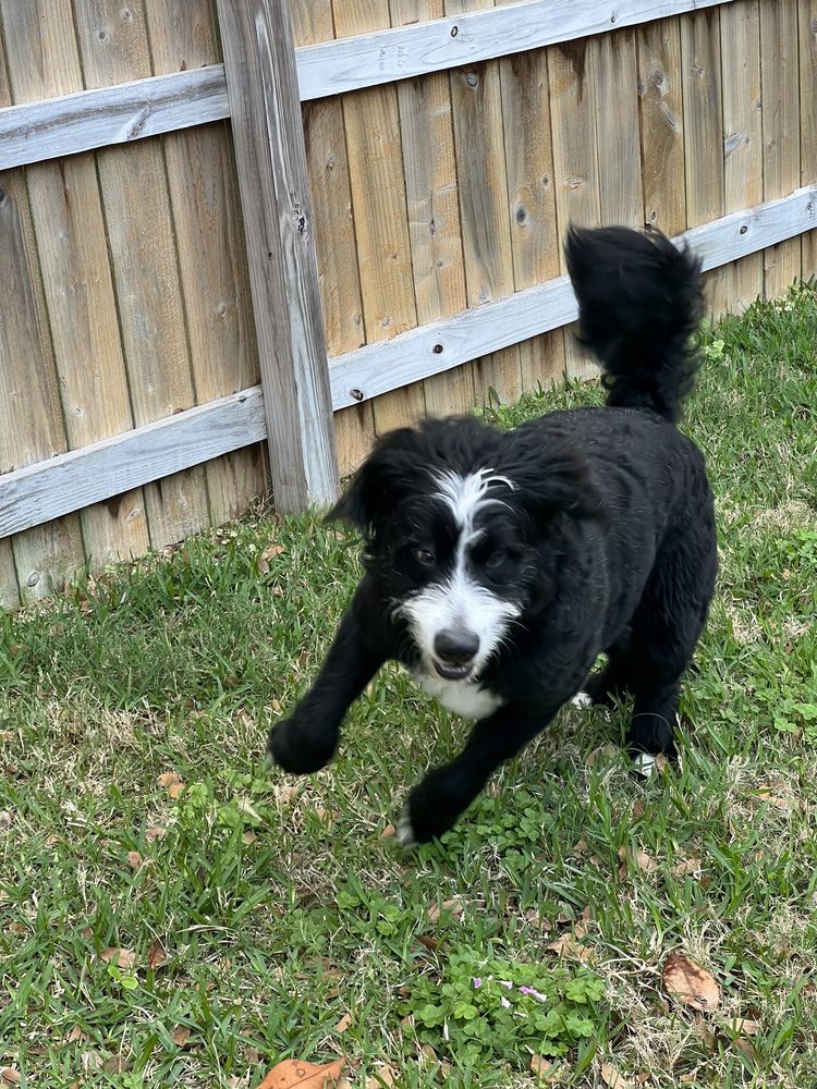 o Jupiter Florida Real Estate For Sale